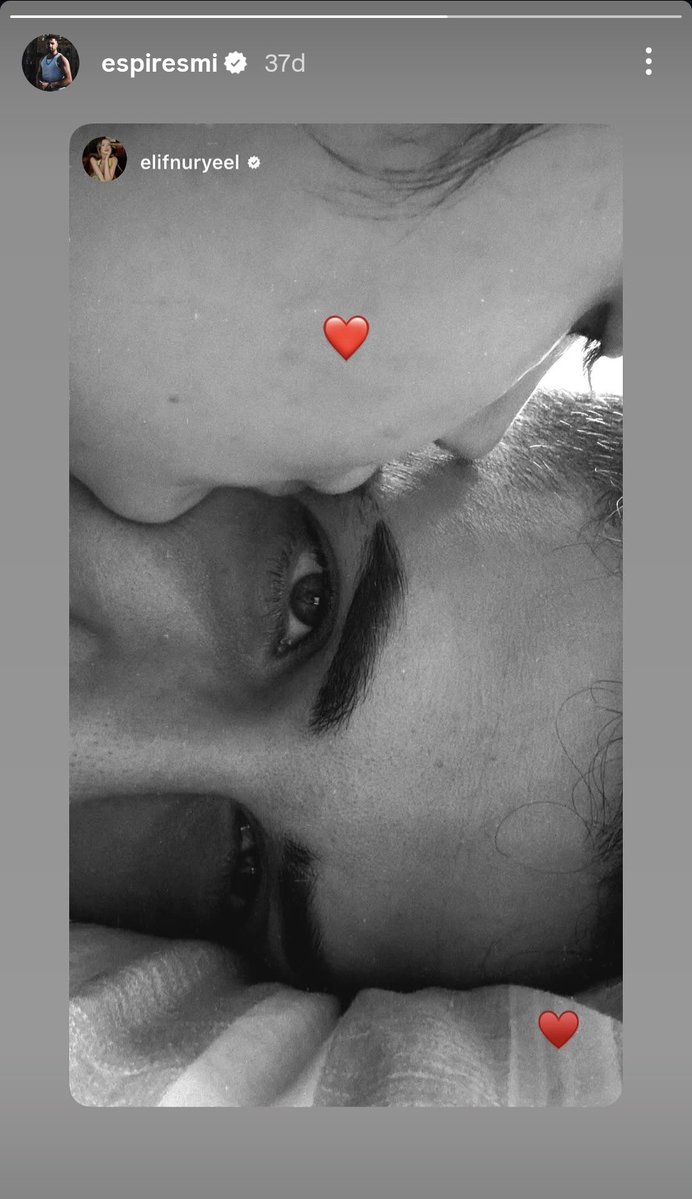 zilan mcdl tweet media