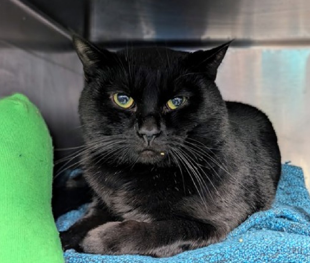 Jack5928 tweet media