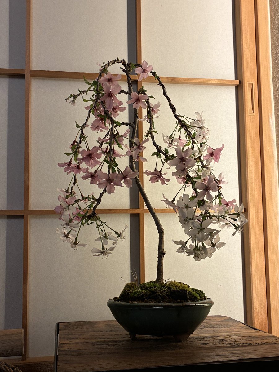 雪駄｛筆字　絵描き tweet media