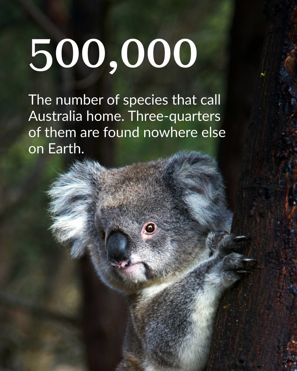 The Pew Trusts tweet media