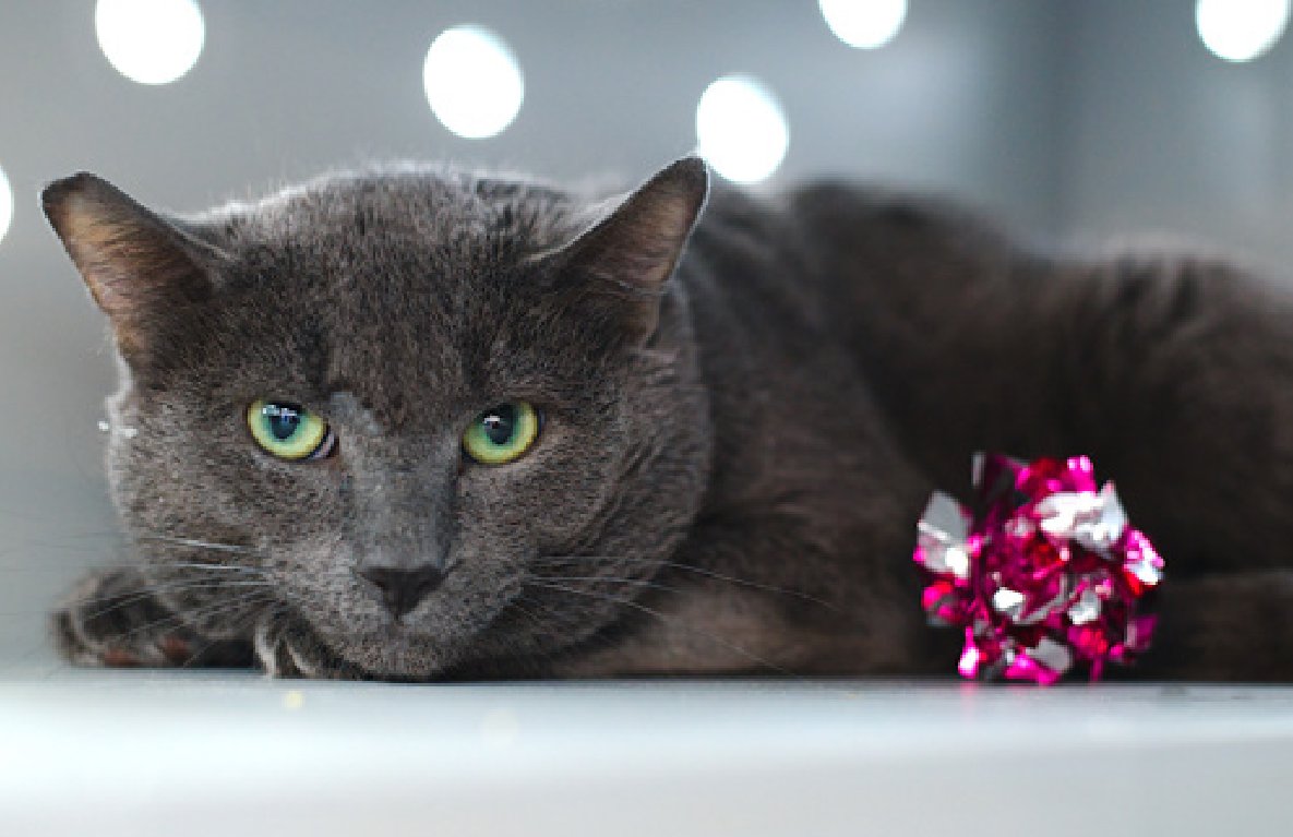 Jack5928 tweet media