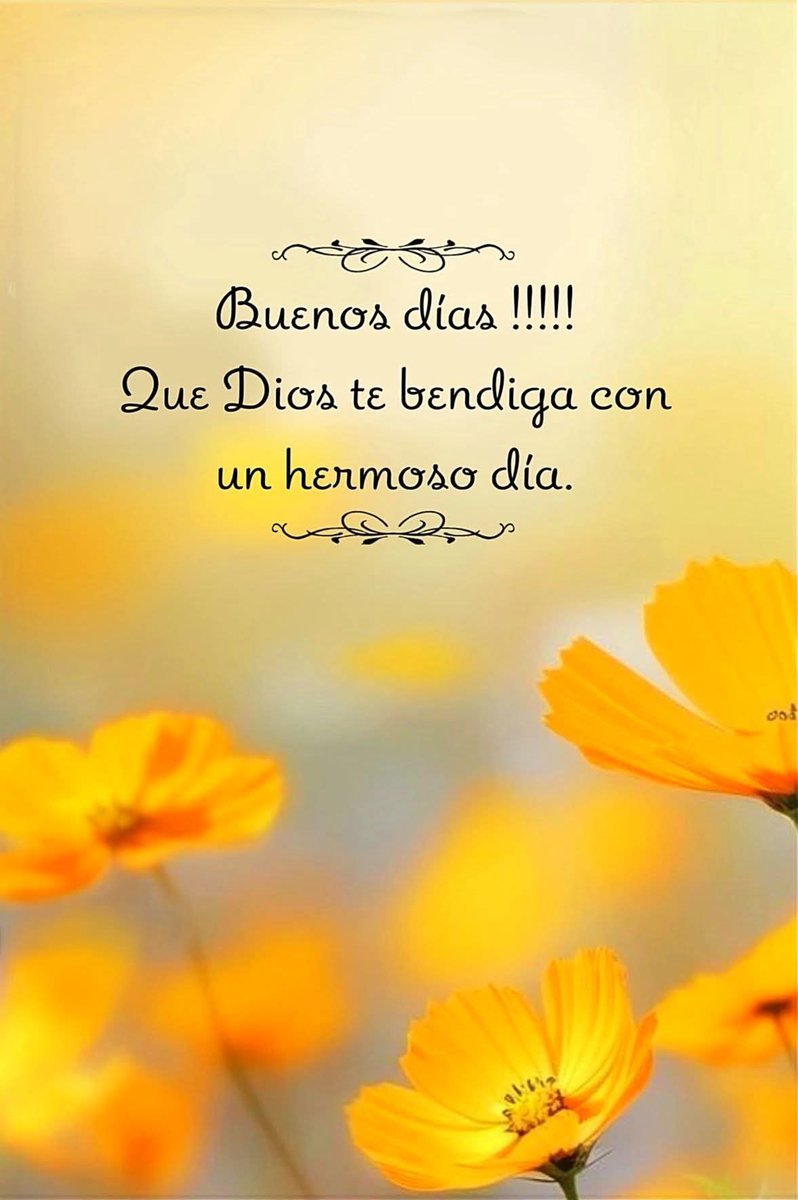 David Alexander Berrios tweet media