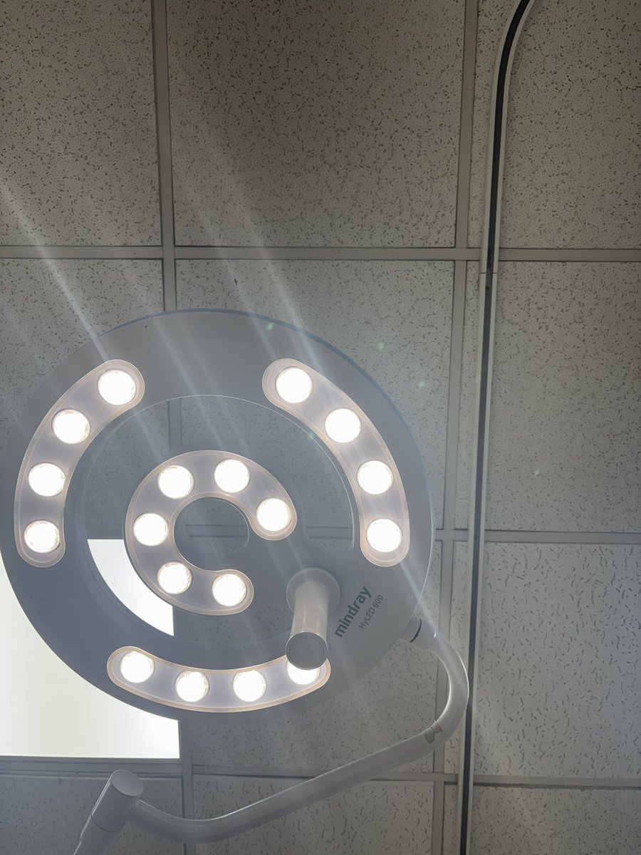 𝔽𝕆X-𝔼 tweet media