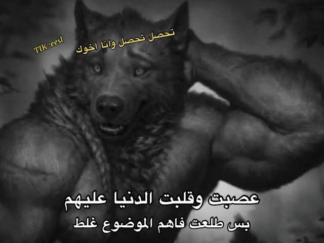 火拳 Ace🍩|زيد tweet media