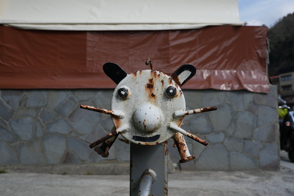 腹よわボーイ tweet media