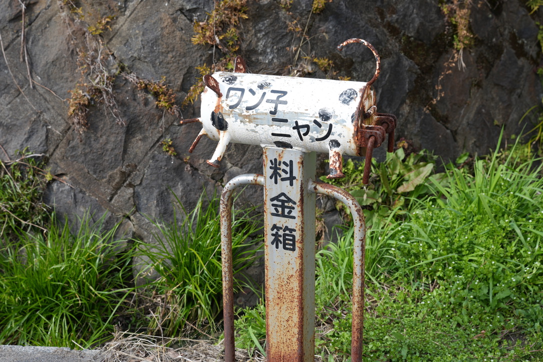 腹よわボーイ tweet media