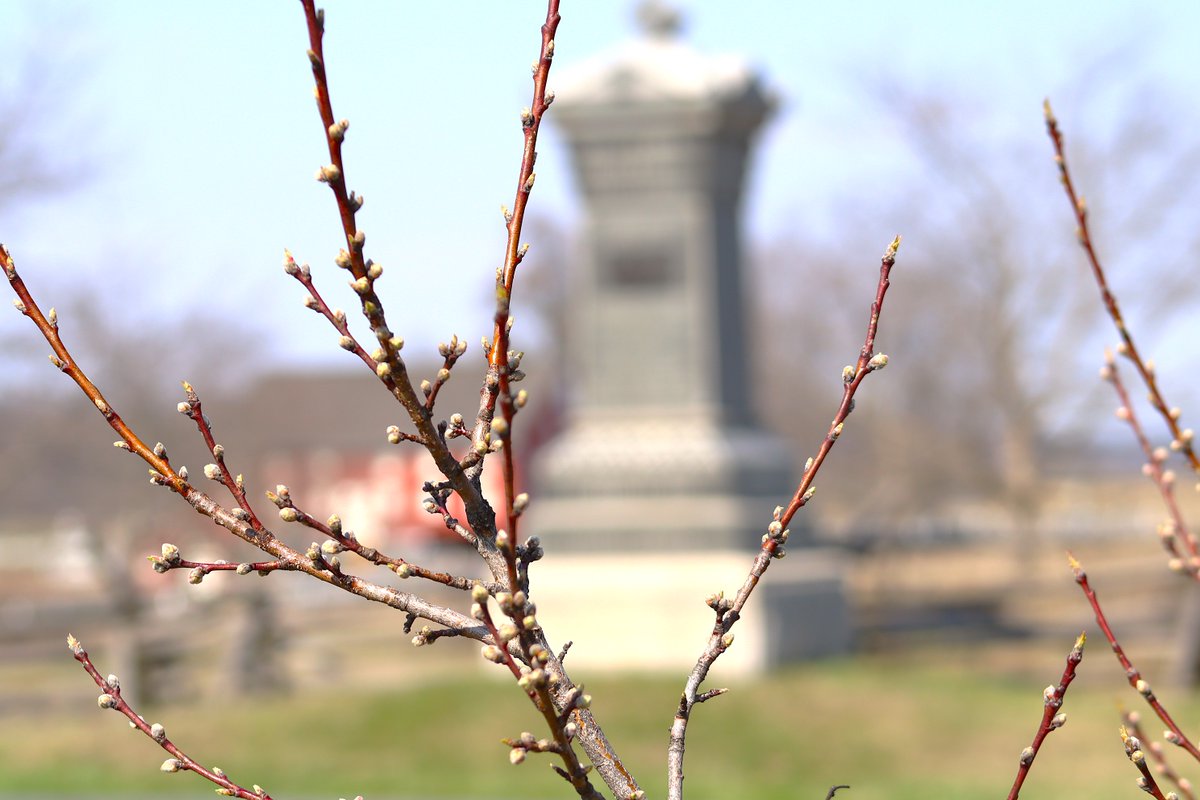 Destination Gettysburg tweet media