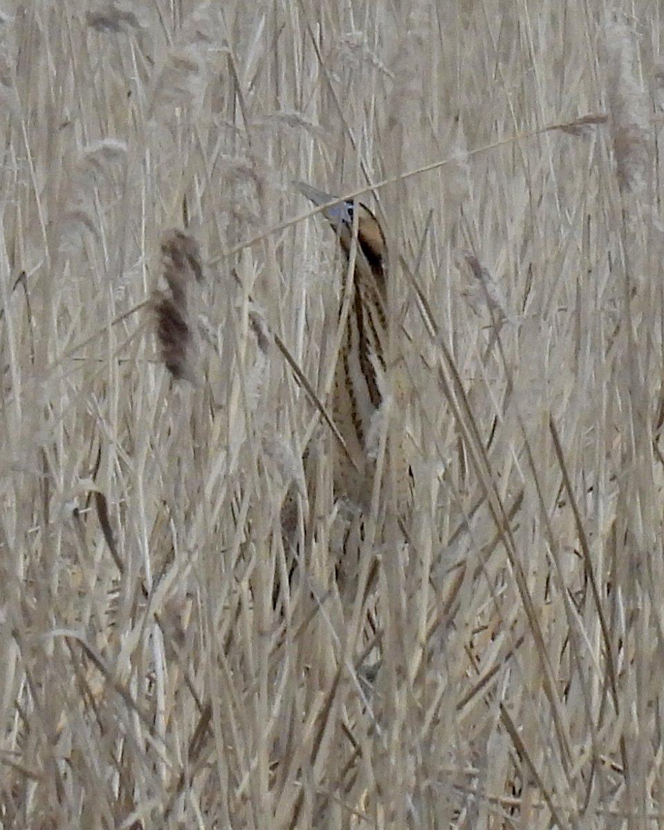 Sean Moore tweet media