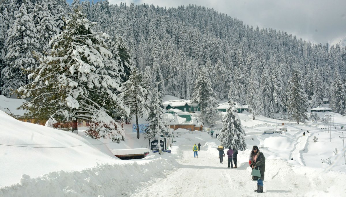 State Times tweet media