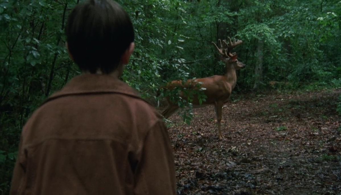 cass˚ ༘♡ tweet media