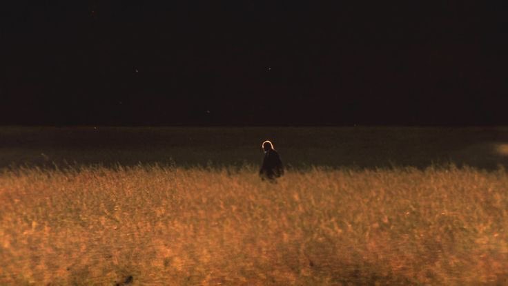 cass˚ ༘♡ tweet media