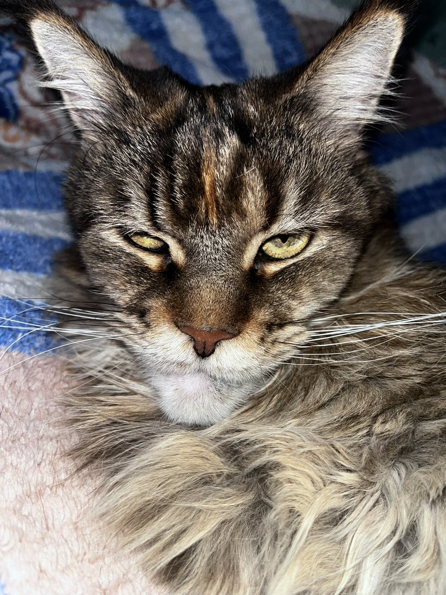 dandelionENHYPEN_IS_7 tweet media