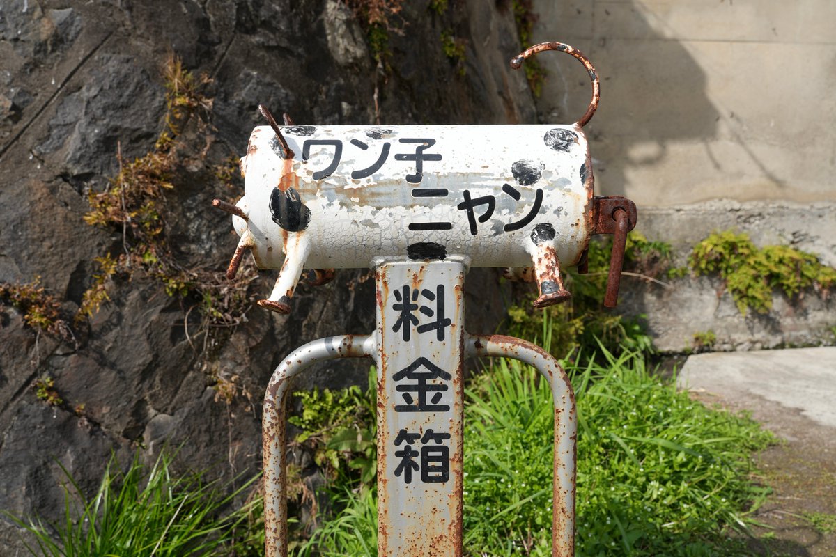 腹よわボーイ tweet media