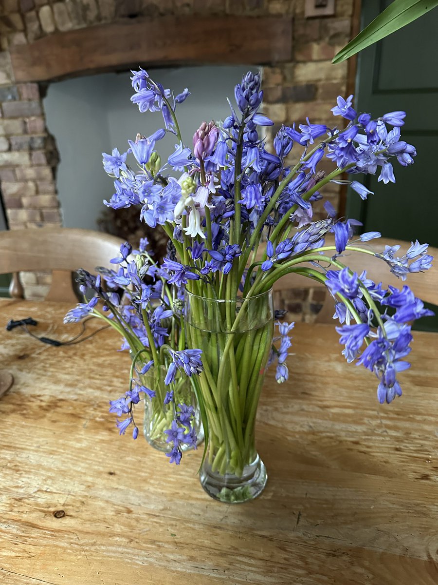 Rosemary Griggs tweet media