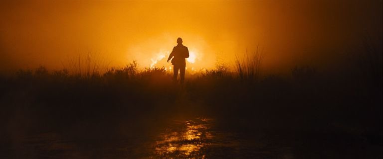 Cinema Joy tweet media