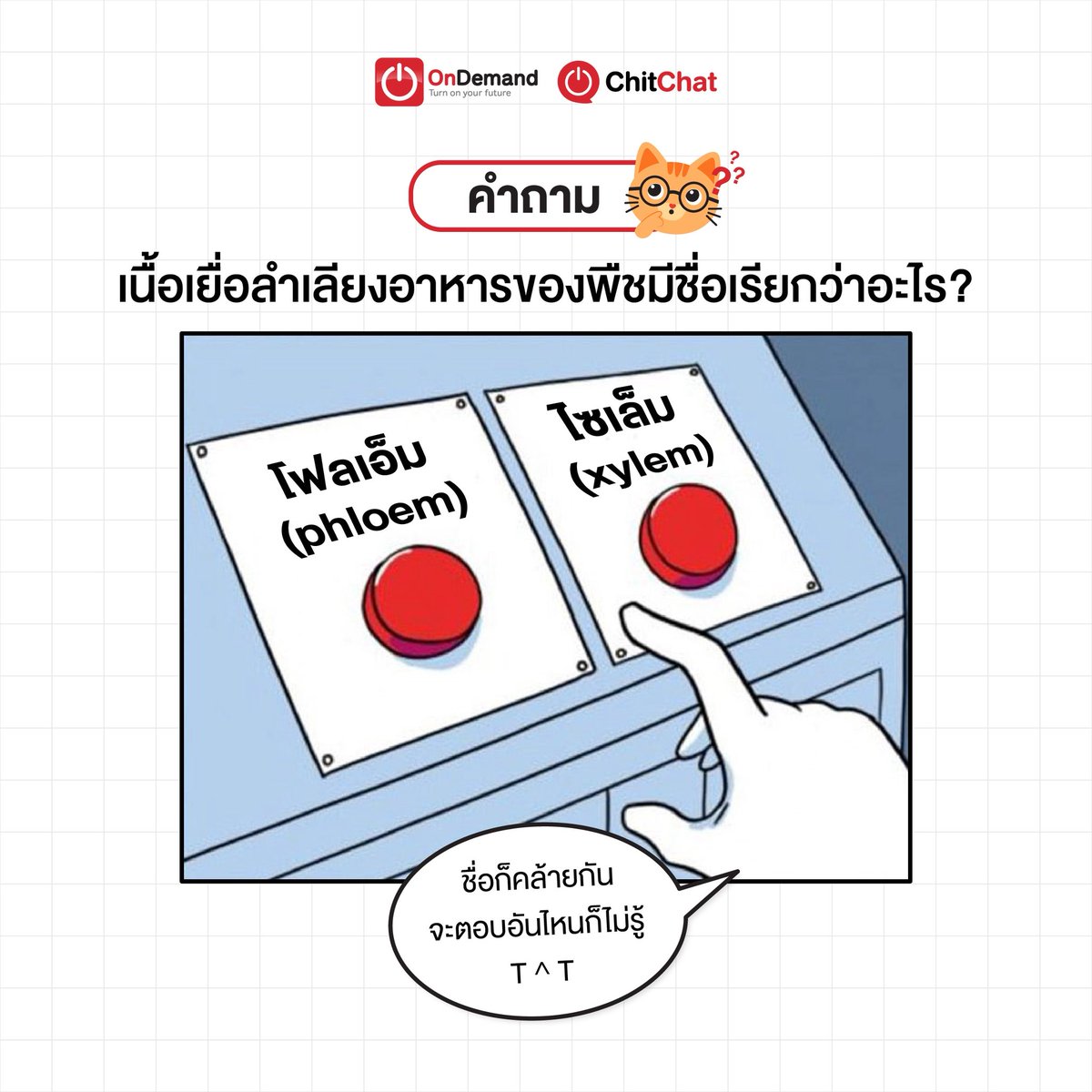 ChitChat by OnDemand tweet media