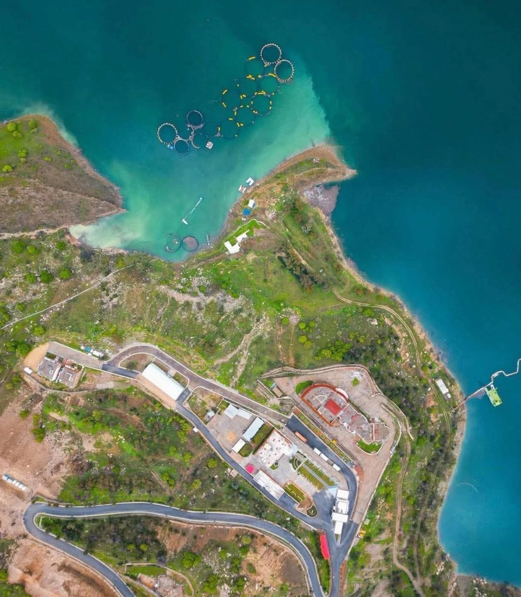 Rusly Al-Maliki 🇮🇶 رسلي المالكي tweet media