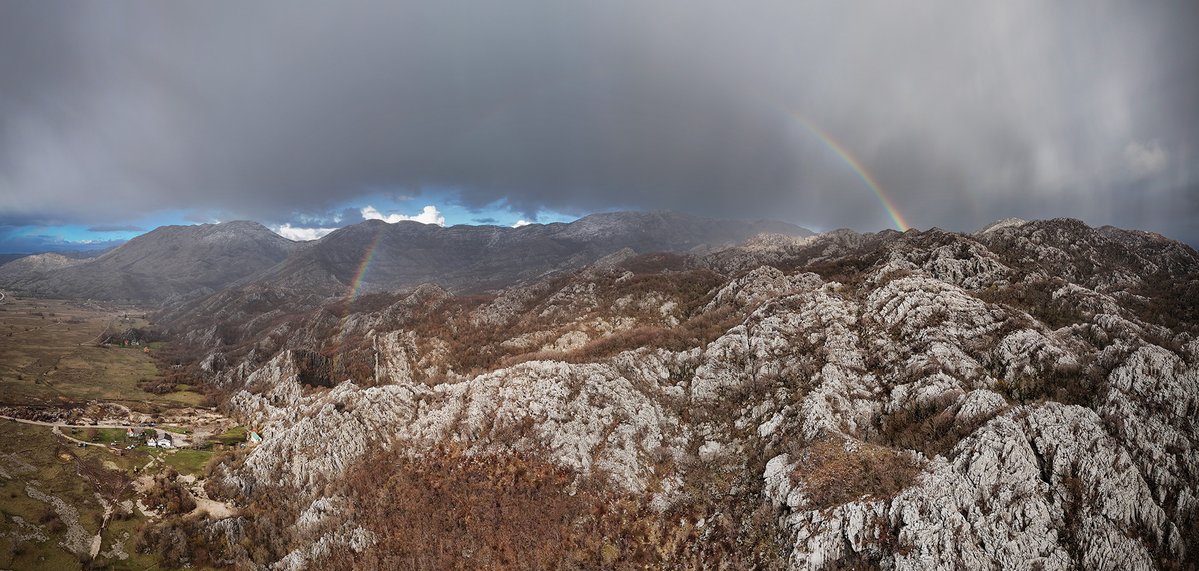 Aleksandar Jaredic tweet media