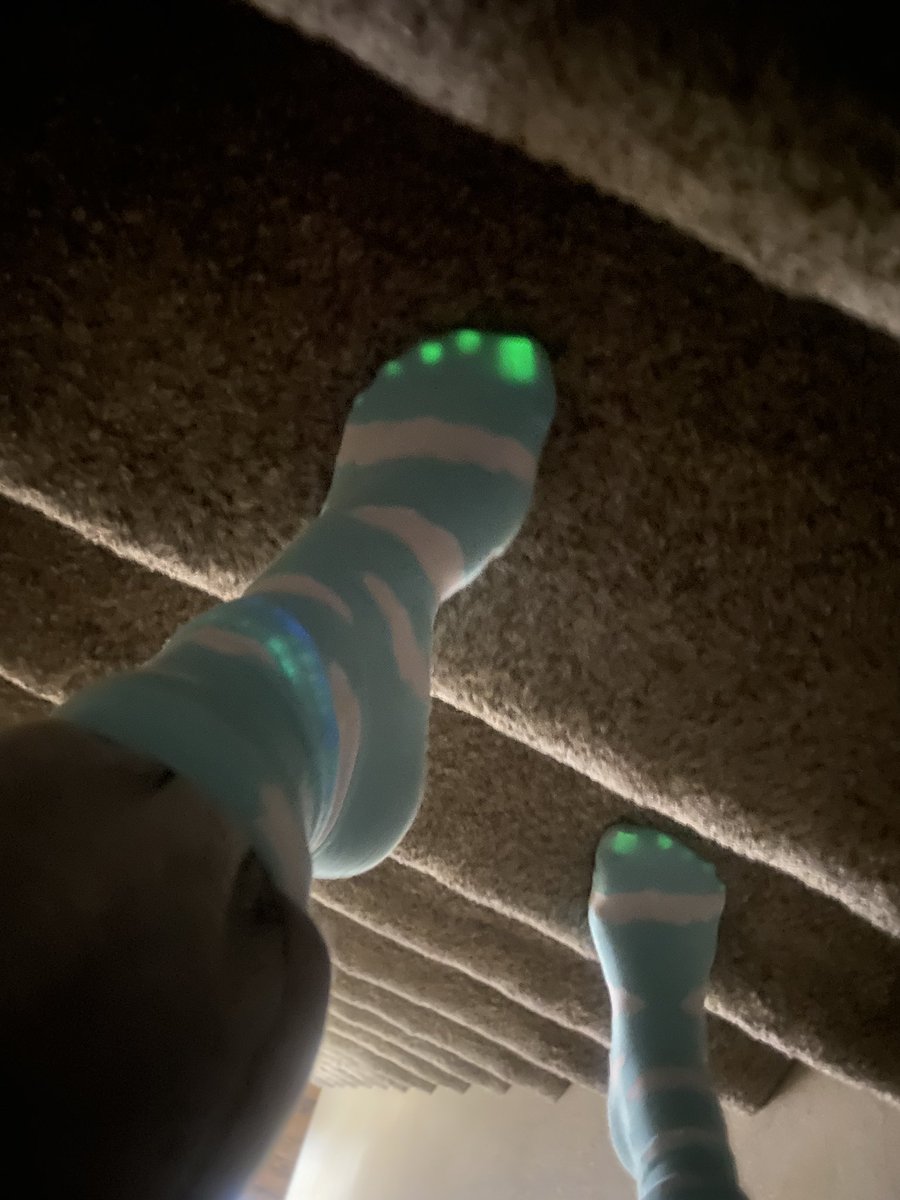 Toe👣ni tweet media