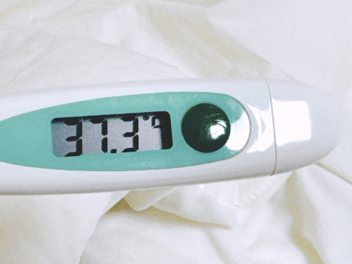 오탁구 tweet media