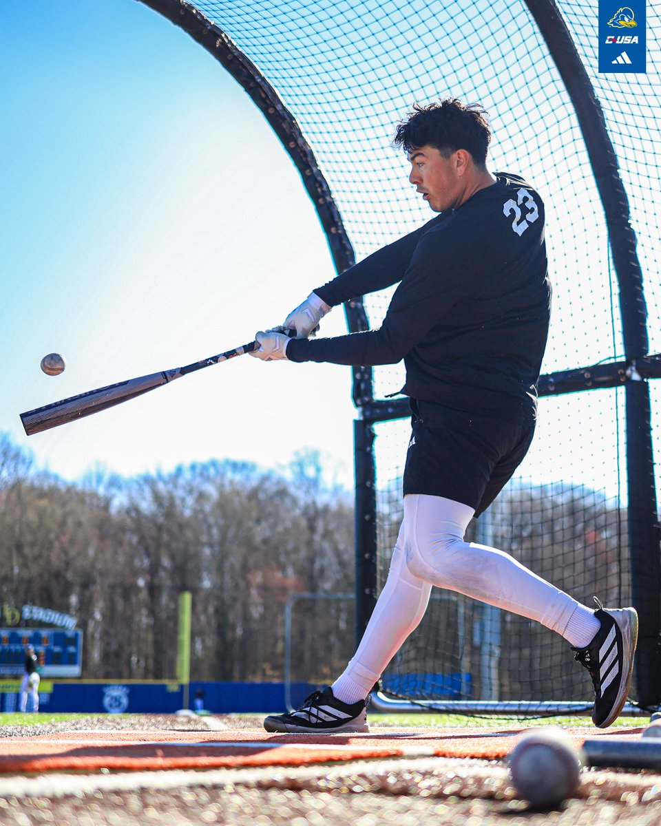 Delaware Baseball tweet media