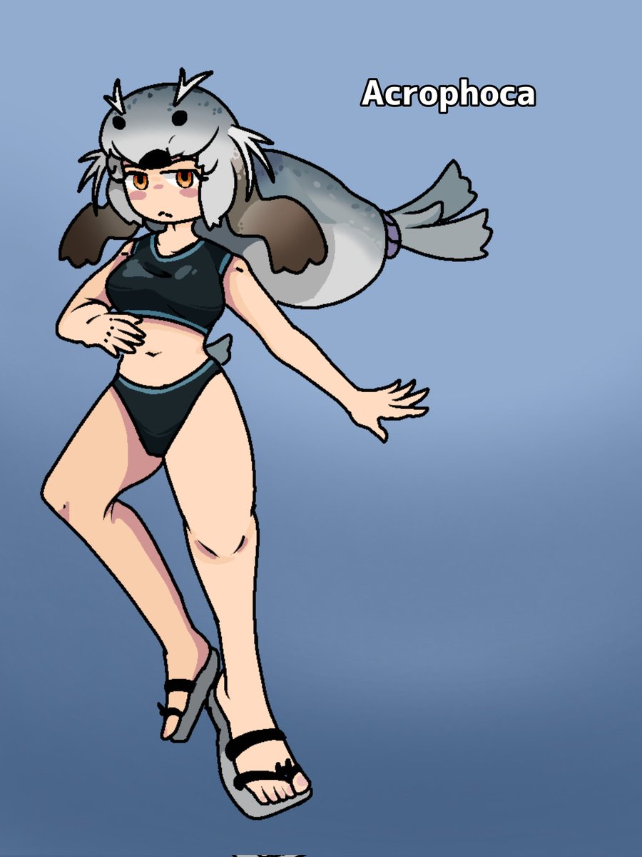 Medrako1's tweet photo. Acrophoca
#oc #kemono_friends
#orifure #acrophoca #kemonofriends #sealgirl
#オリフレ #アクロフォカ #けものフレンズ #シールガール https://t.co/oCm9EhfL1A