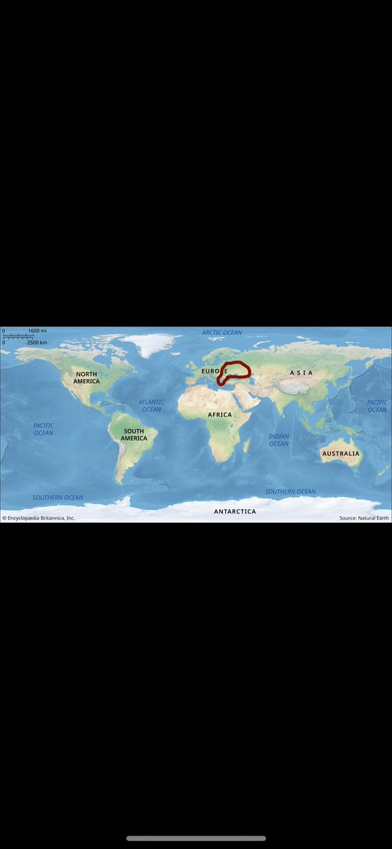 Dave0987 tweet media