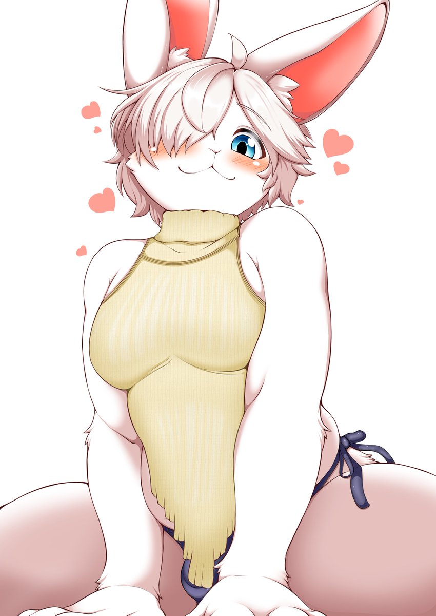 眼鏡狗 tweet media