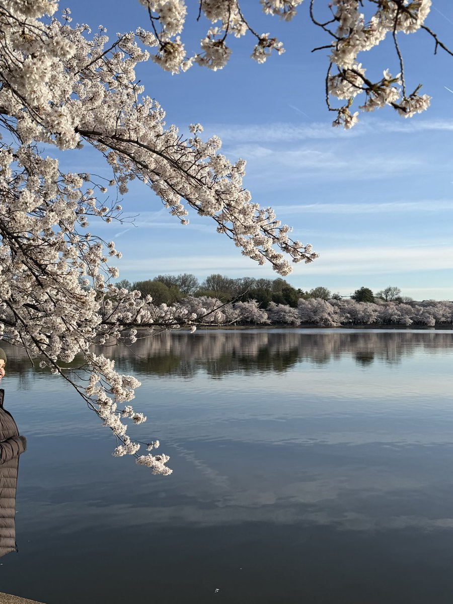 † know your devil † tweet media