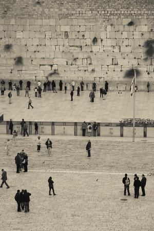 SHAH | Creator @ WYLD tweet media