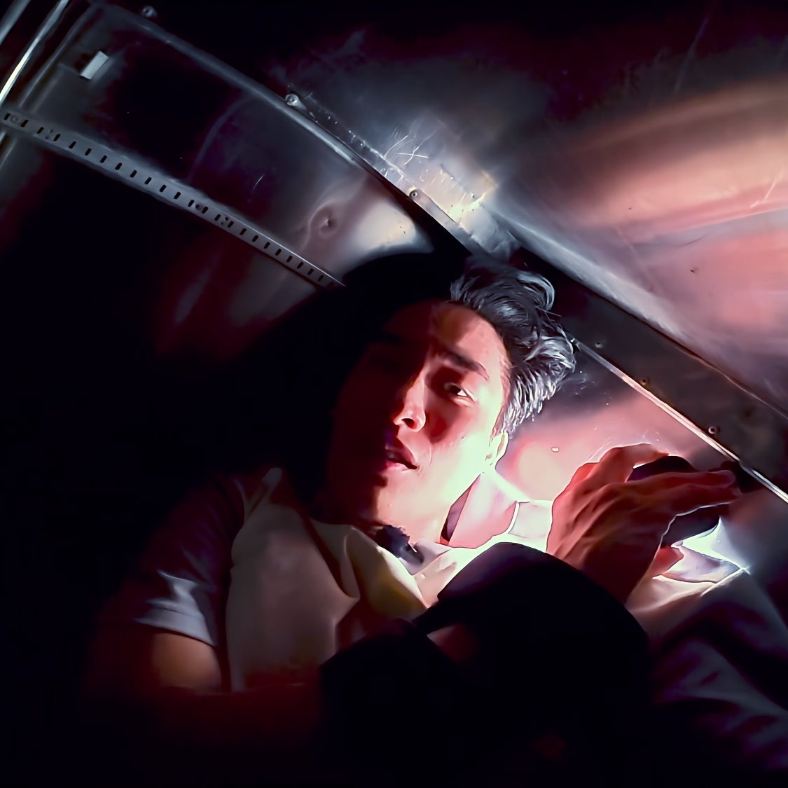 ตว 🐶 ✈️ tweet media