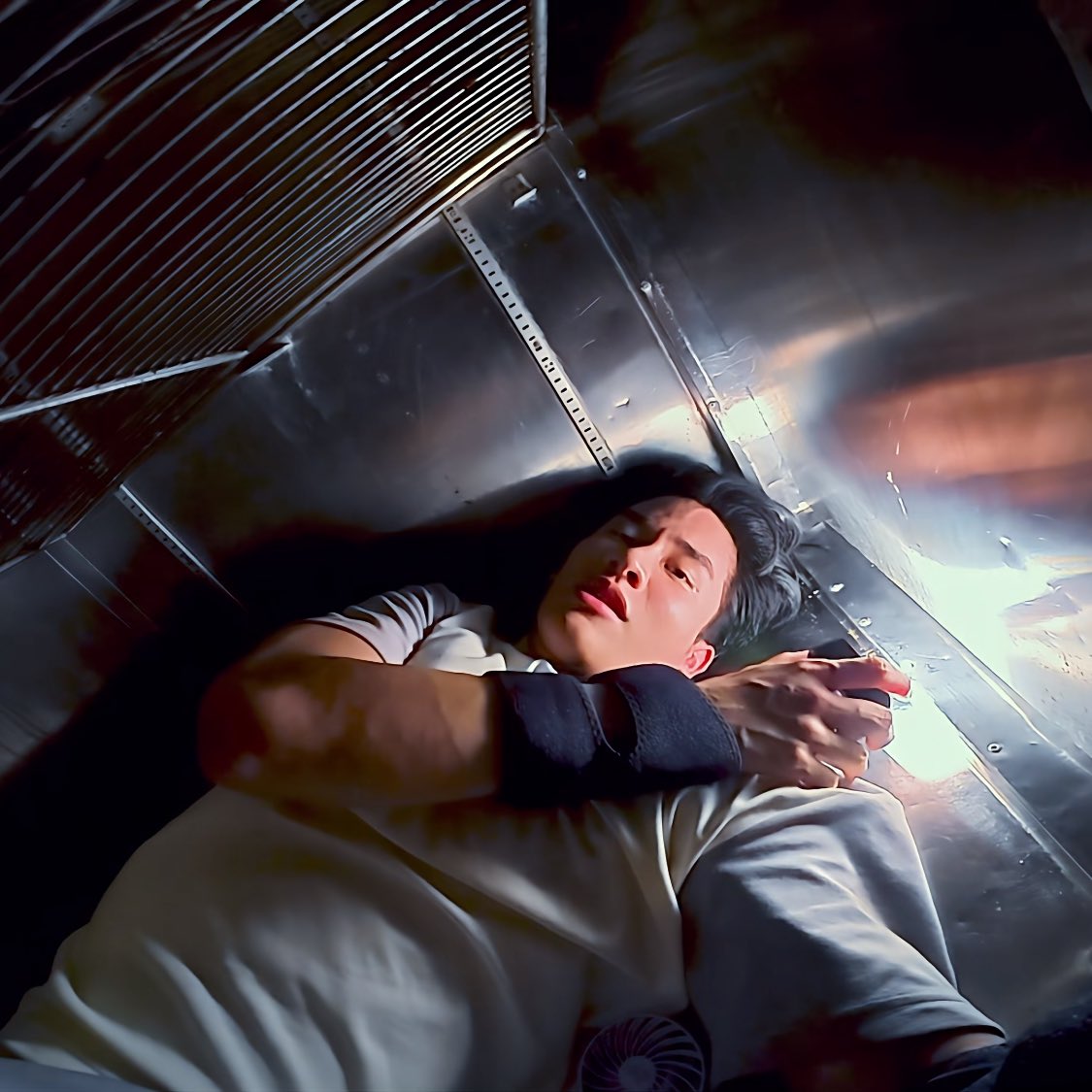 ตว 🐶 ✈️ tweet media