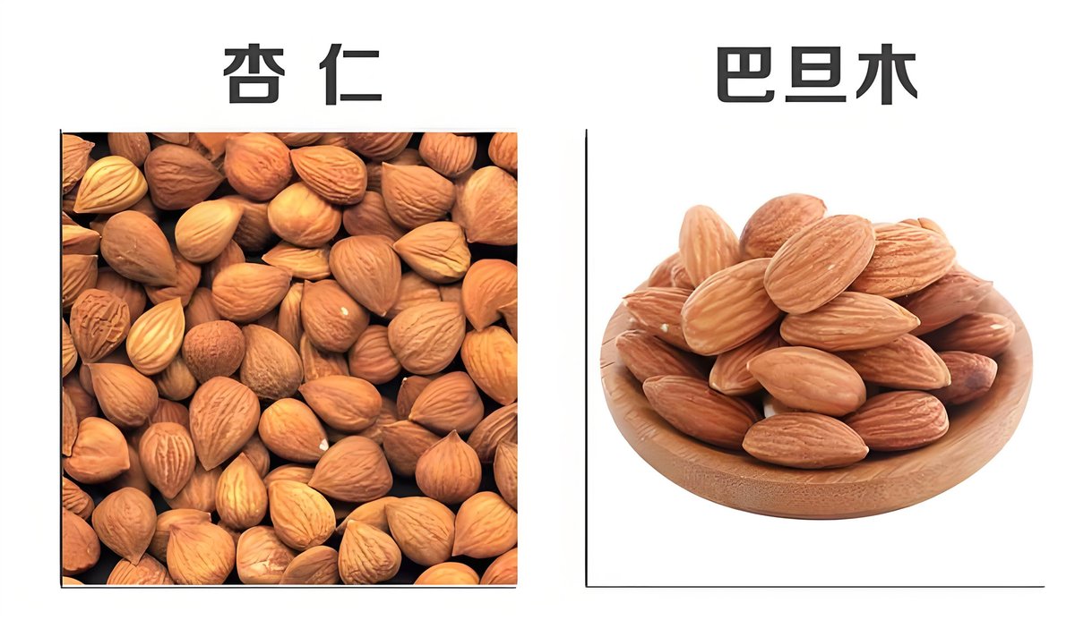 dante jose mogollon tweet media