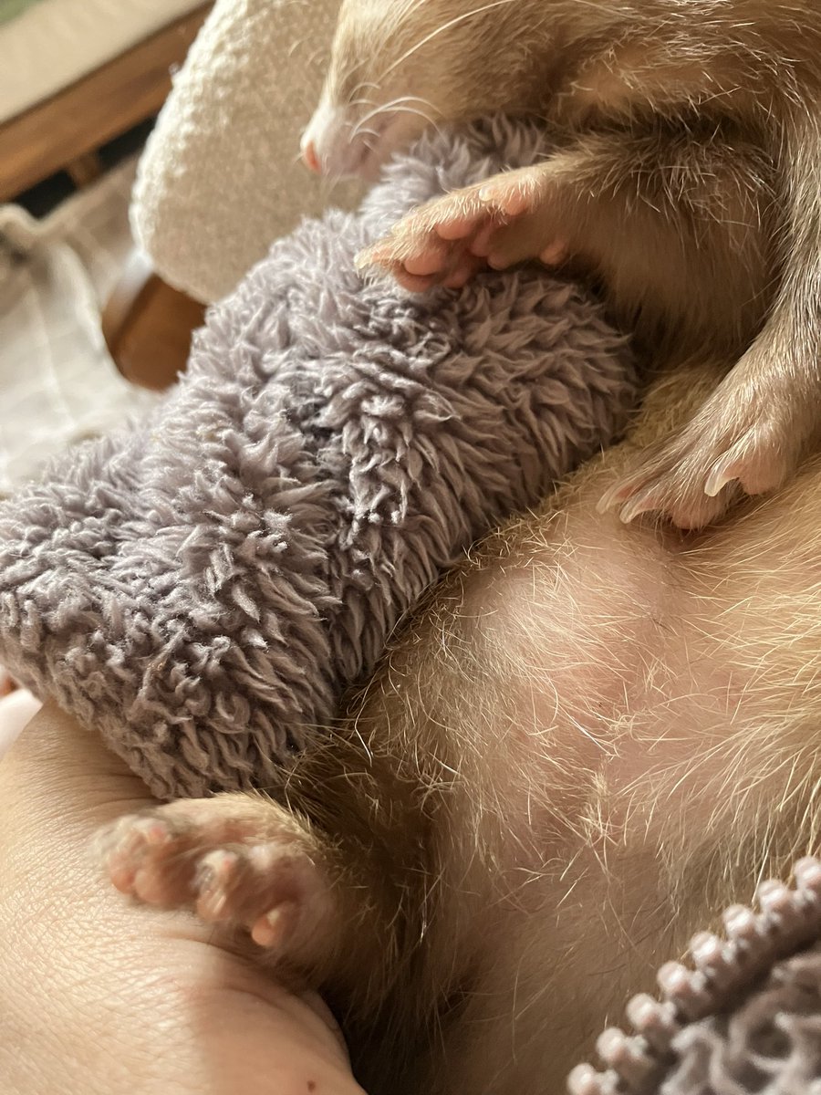 CaliCeri tweet media