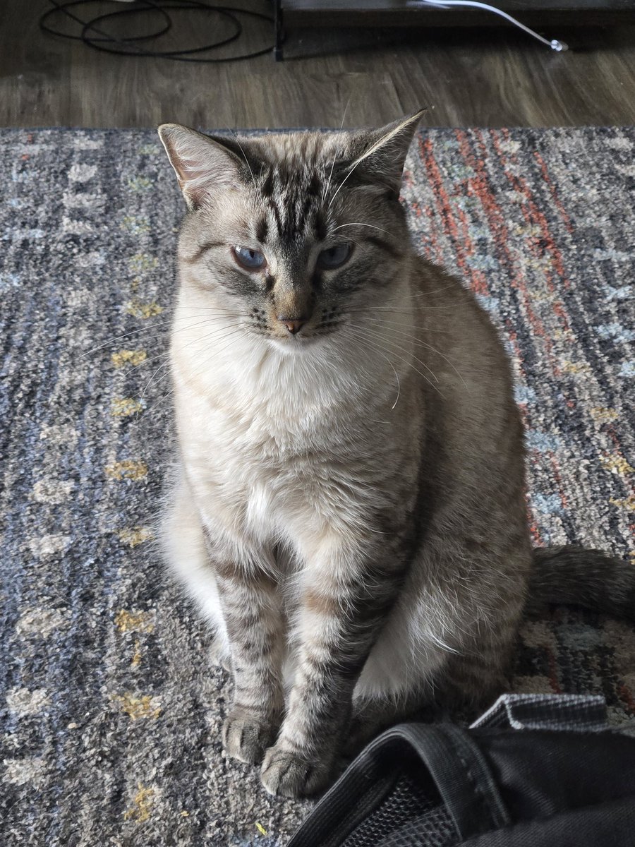 David • IRON LUNG tweet media