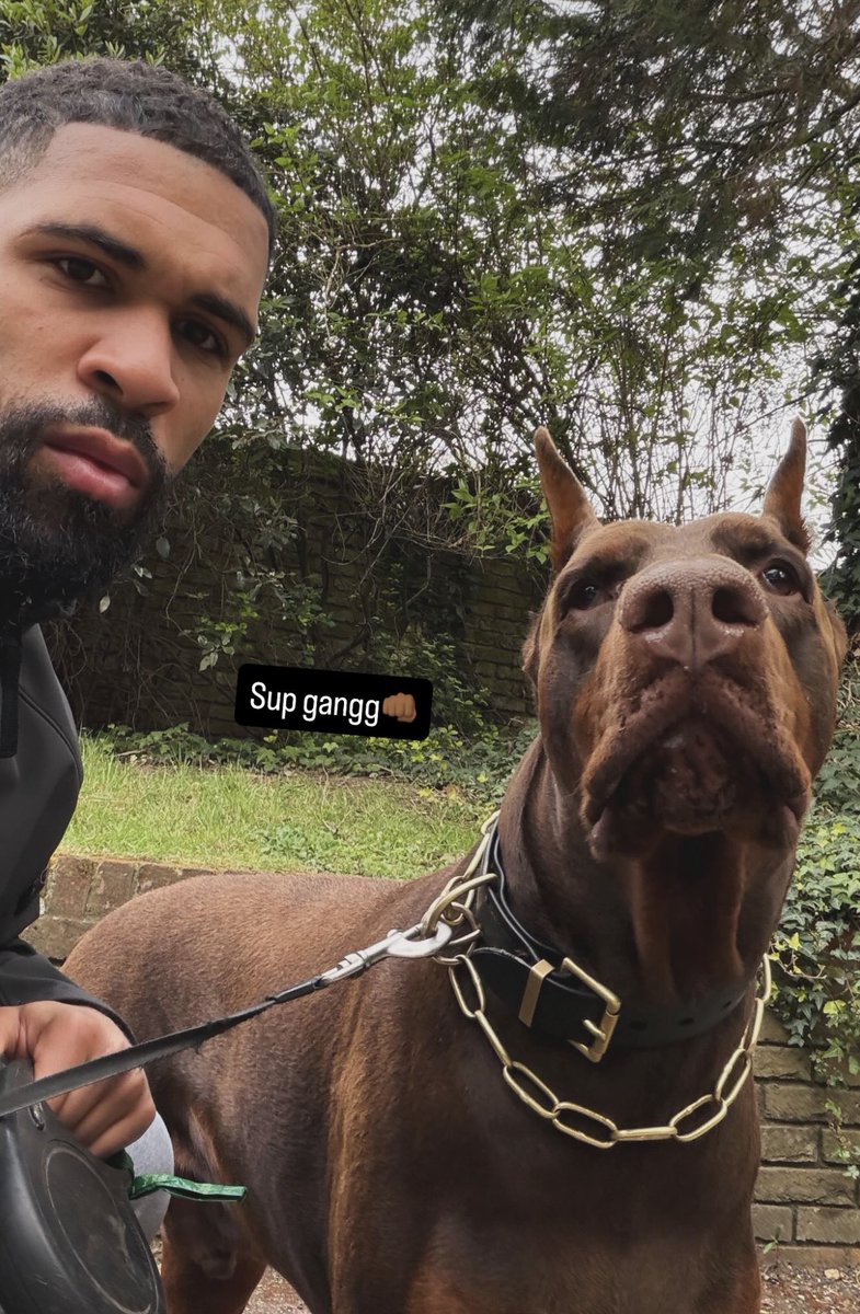 Milan Posts tweet media