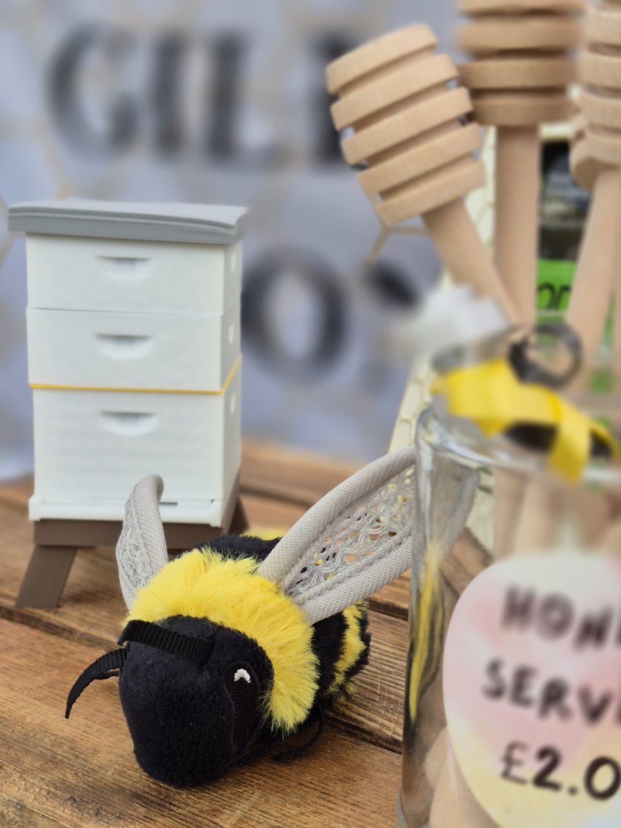 eve_bees's tweet image. Cleethorpes,you never cease to amaze us! We were  totally sold out of summer honey by 12.30pm, something we've never donee before, as we always take more than enough. Every other box came back a lot lighter than  too. A massive thank you to everyone  who supported today.
#thanks
