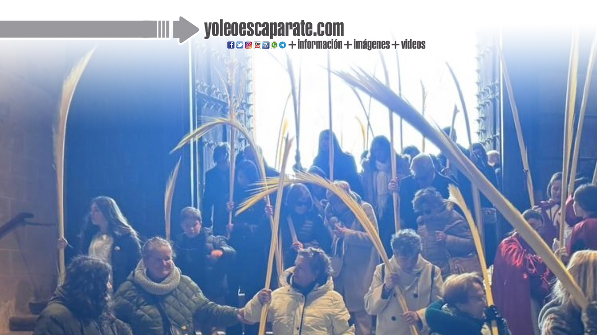 Escaparate -yoleoescaparate.com tweet media