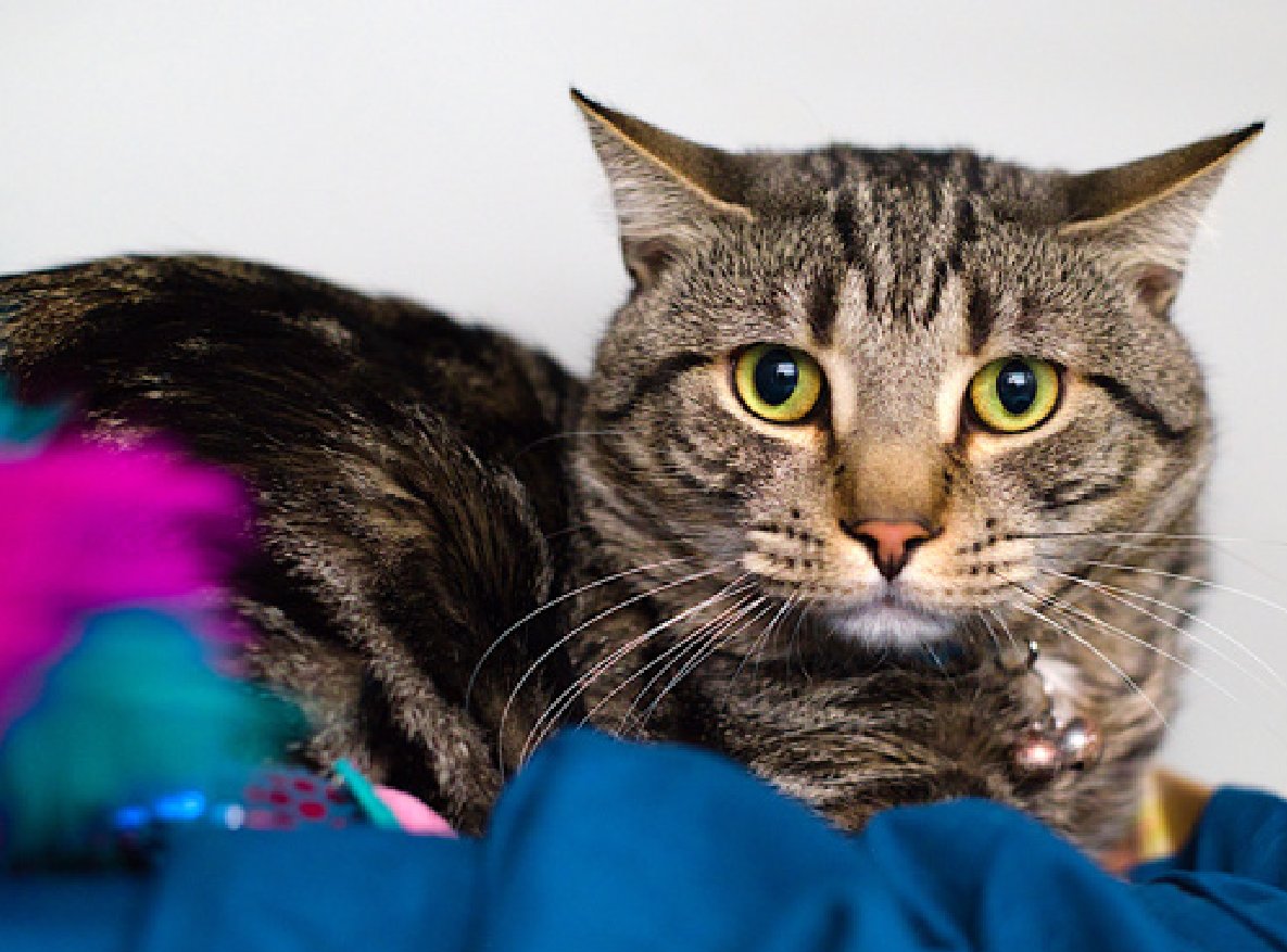 Jack5928 tweet media