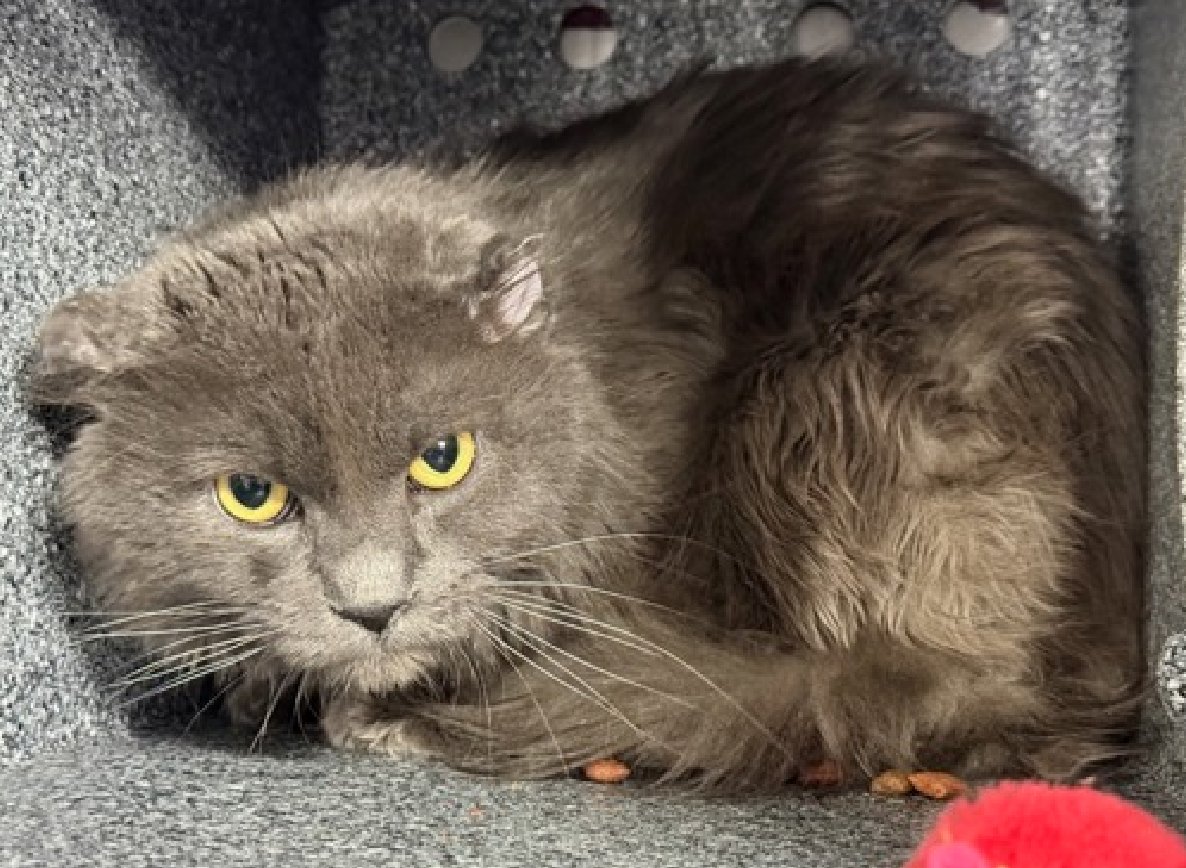 Jack5928 tweet media