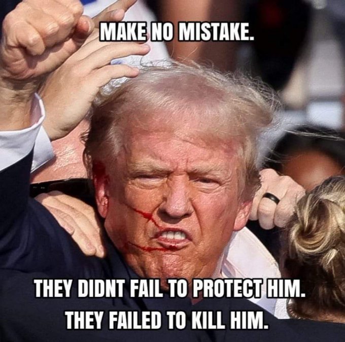 Rod 𝕏 tweet media