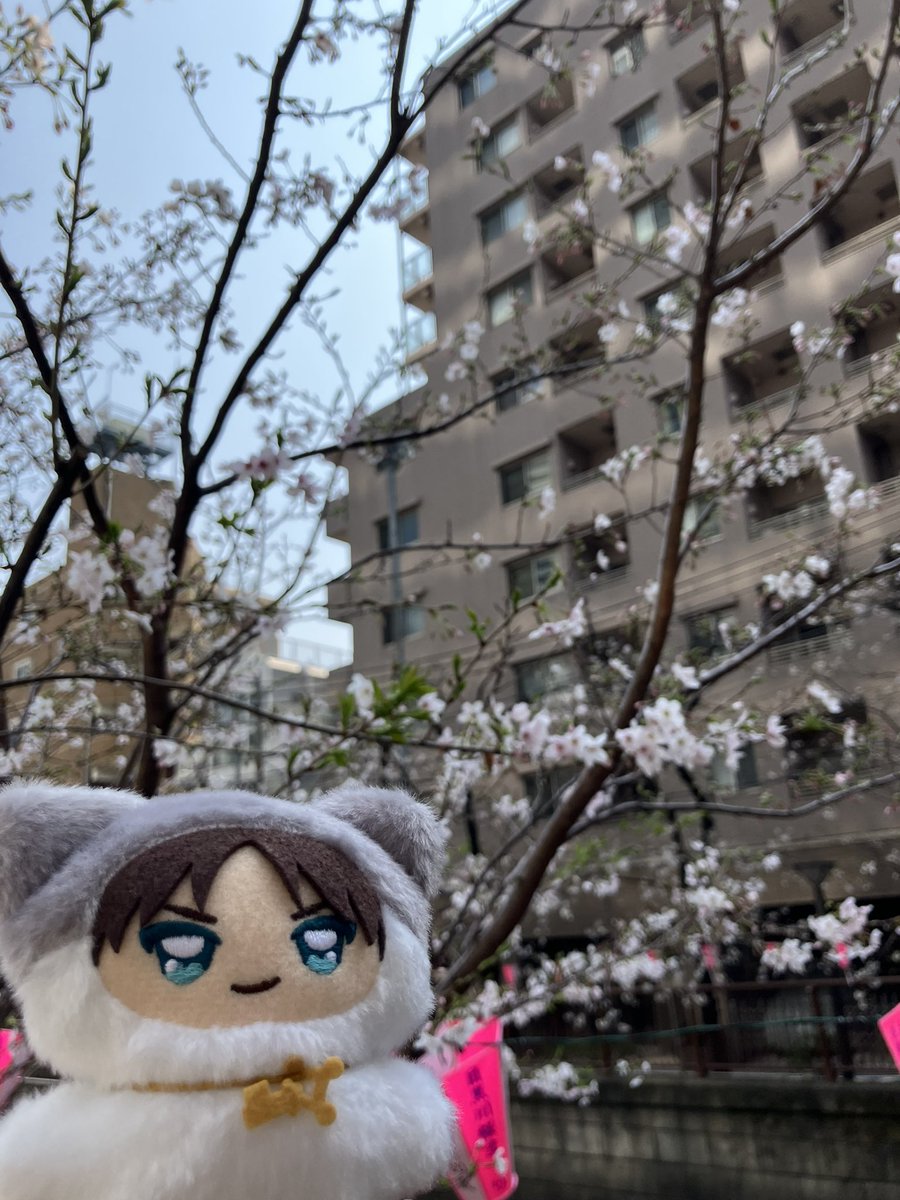 フナ  取引 tweet media