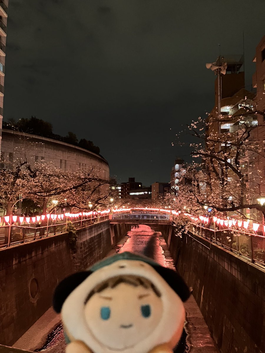 フナ  取引 tweet media