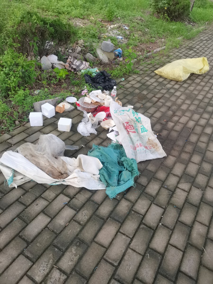 Michaela Geiger tweet media