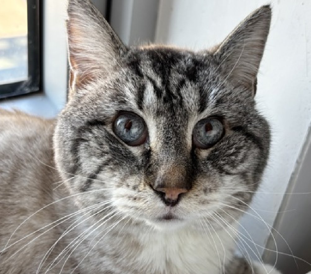 Jack5928 tweet media