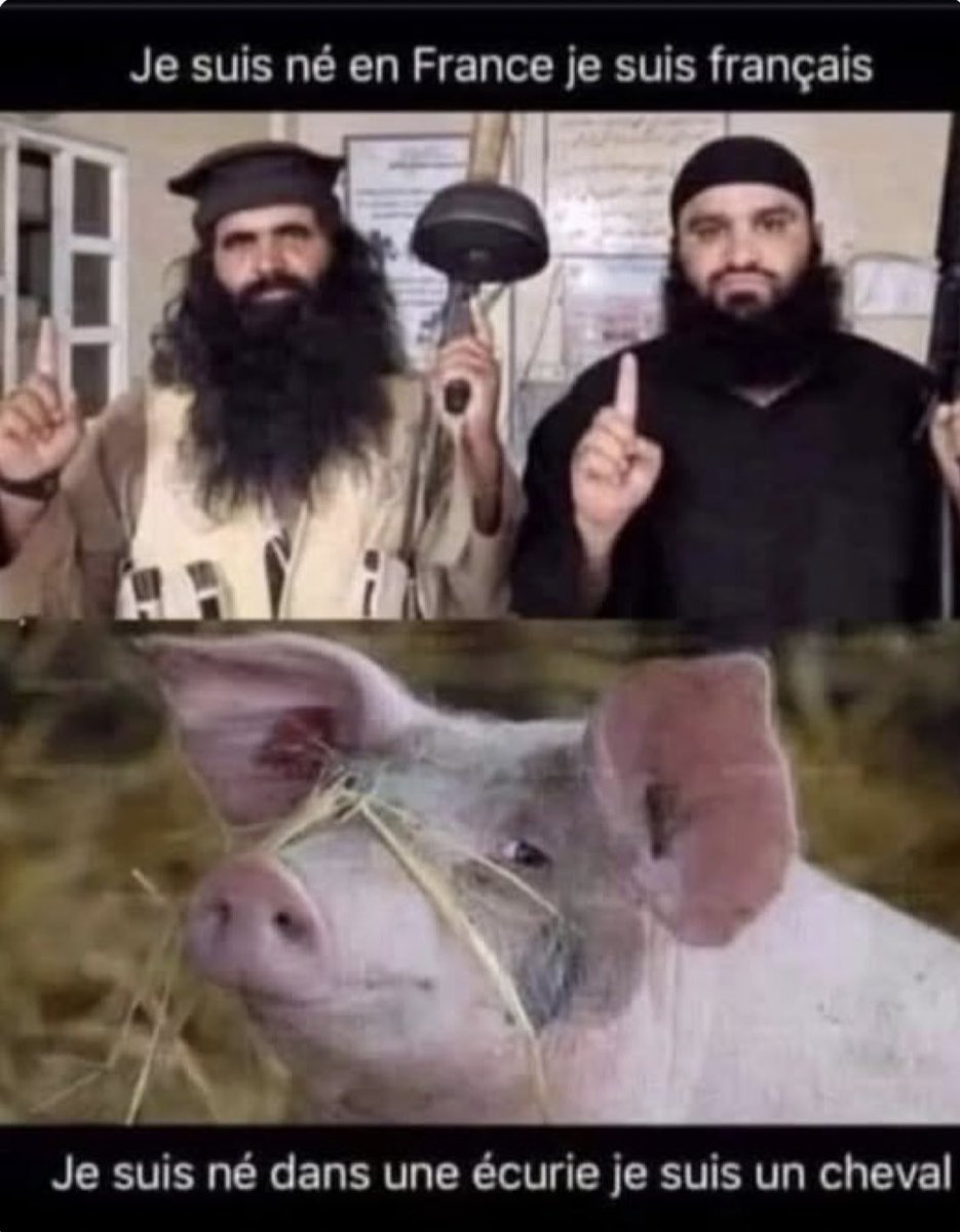 PRAGMA🐓🇫🇷👊🎗️ tweet media