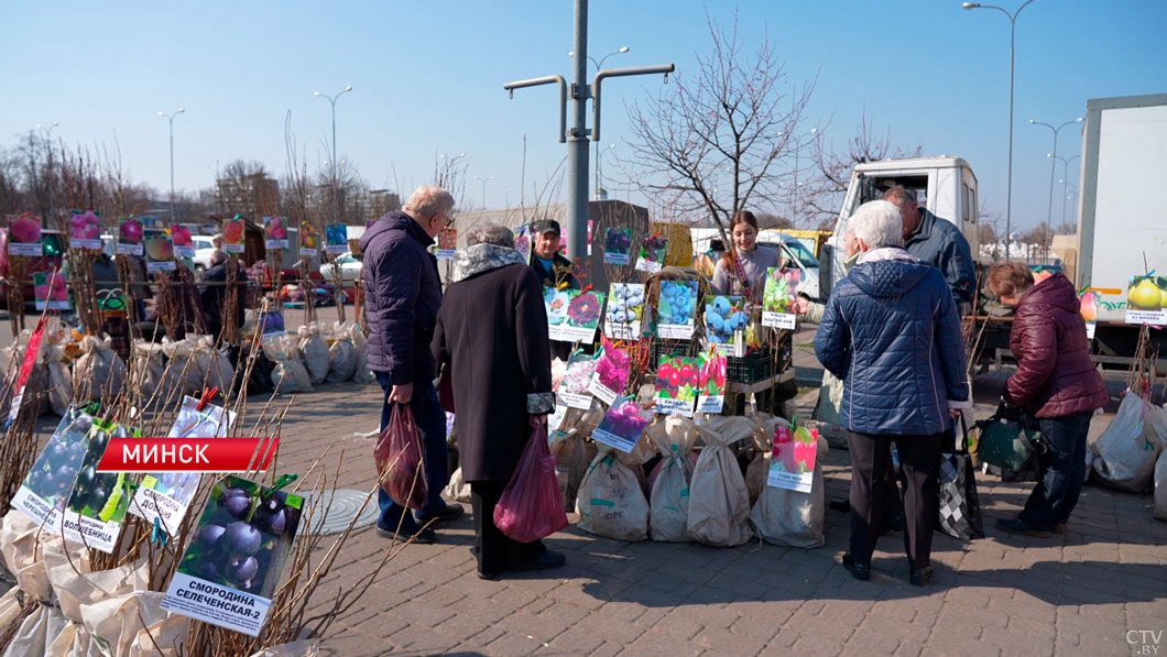 Столичное телевидение tweet media