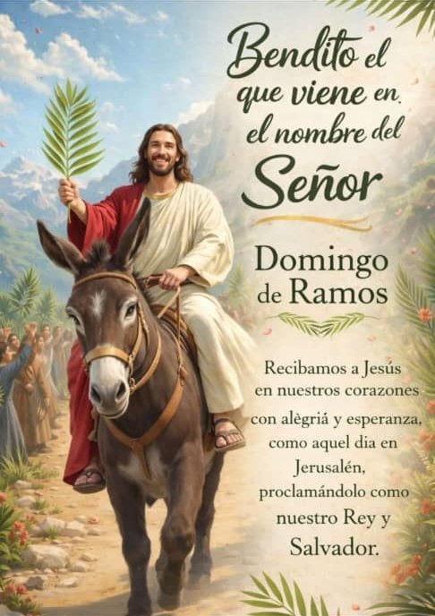 Moisés Pimentel® tweet media