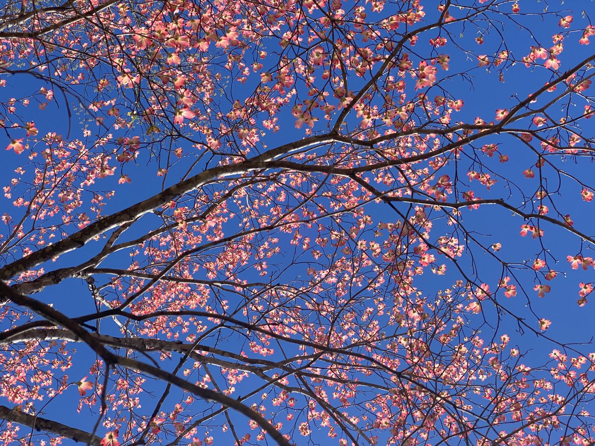 Suzy Starnes tweet media