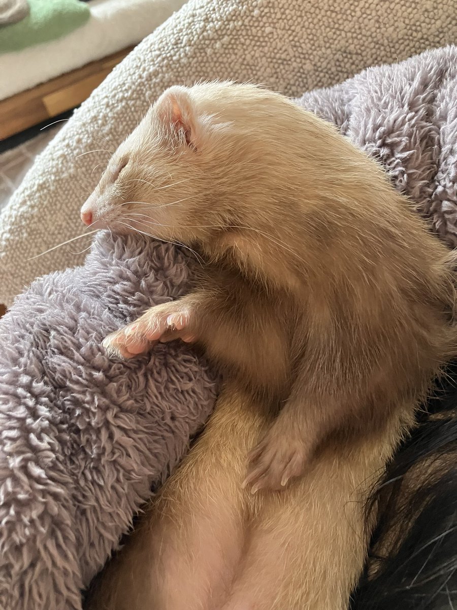 CaliCeri tweet media